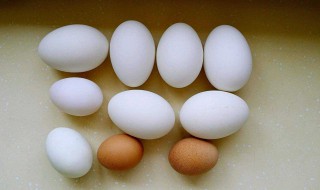 吃鹅蛋有什么好处和功效 请问吃鹅蛋有什么功效
