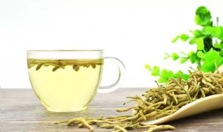 金银花哪五种人不能喝（金银花什么样的人不能吃）