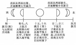 农历把每月初一叫什么 农历把每月初一叫什么日