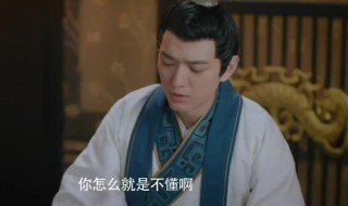 手可摘星辰多少集 手可摘星辰分集介绍