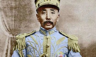 张作霖穿便衣查岗是哪一集 张作霖查岗被侮辱是连续剧哪一集