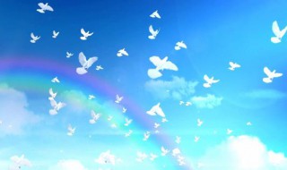 飞鸽互联换手机号码了怎么办 飞鸽互联怎么更换手机号