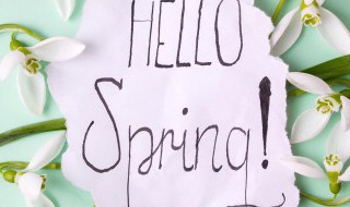 春分是什么意思含义介绍（春分的含义）