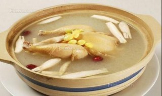 如何炖鸡汤(如何炖鸡汤好喝又营养)