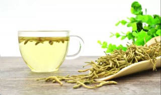 金银花不适宜人群 金银花适合哪类人群