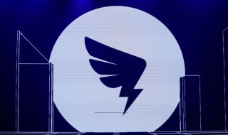 钉钉上网课是什么梗