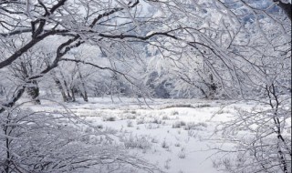 梦见地里白白霜是什么意思（梦见满地白霜是什么意思）