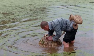 春季鱼在什么温度喜欢进地笼