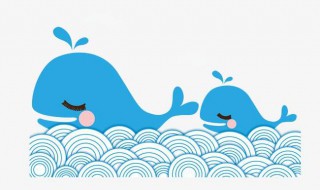 被称为海洋巨无霸的动物是什么（被称为海洋巨无霸的动物是什么生肖）