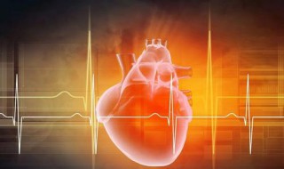 心主血脉与哪些因素有关 心主血脉谁是主要作用