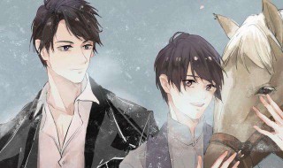 碎玉投珠讲的什么（碎玉投珠讲的什么故事）