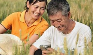 乡下手机没网络怎么办 乡下手机没网络怎么办啊