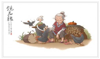 镜花缘梗概（镜花缘梗概1到50回）