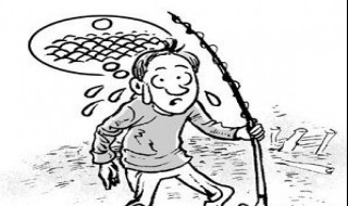 一套鱼竿配置 一套鱼竿配置参数