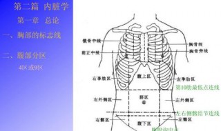 结节间沟和喙突解剖定位（大结节小结节喙突图）