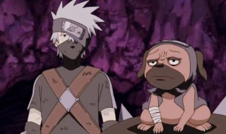 火影忍者帕克策划怎么了 火影策划帕克百度贴吧