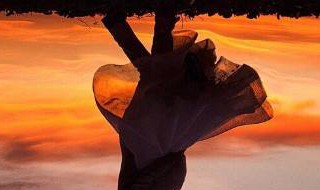 他带走余生欢结局（他带走余生欢结局是什么）