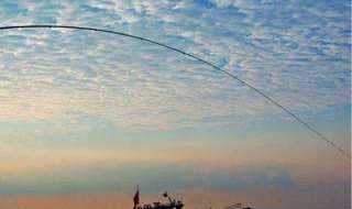 丁桂鱼用什么饵料（丁桂儿鱼用什么饵）