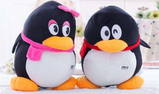 怎样把QQ送出的礼物拿回来（怎样把qq送出的礼物拿回来给别人）