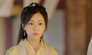 西风是哪部电视剧里的男主角（西风是哪个电视剧的人物）