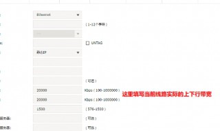 手动设置外网带宽要设置多少（手动设置外网带宽要设置多少兆）
