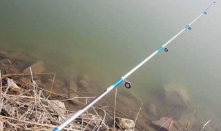 串钩的钓法（串钩的钓法图解）