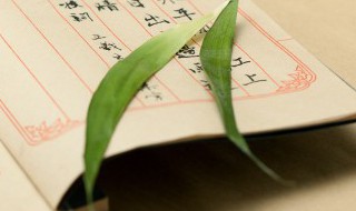 夫笃终追远人德归厚翻译（慎终追远民德归厚矣的意思是什么）