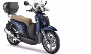 国产踏板车什么质量好(国产踏板车哪个好)