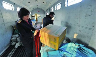 怎么运输狗狗 怎么运输狗狗回家