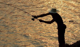 春季东北风好钓鱼吗（春季东北风好钓鱼吗视频）