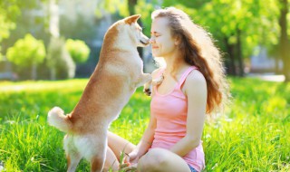 狗的尾巴偏哪边好 狗的尾巴左边好,还是右边好?