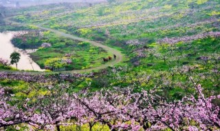 南京开春游玩的好地方（南京市春游的好地方）