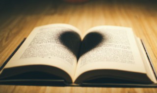 史记之前的编年体史书有 史记之前的编年体史书有多少页