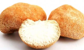 新鲜猴头菇煮10分钟能吃吗 新鲜的猴头菇煮20分钟能吃吗