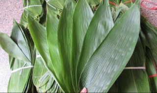 粽叶是什么垃圾(粽叶是什么垃圾端午节放假)