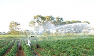 可灌溉耕地面积 灌溉农业区耕地面积扩大的主要原因