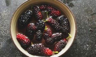 为什么要用盐水洗桑葚 桑葚要泡盐水吗