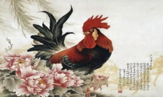 陶犬瓦鸡的由来(陶犬瓦鸡猜一生肖)