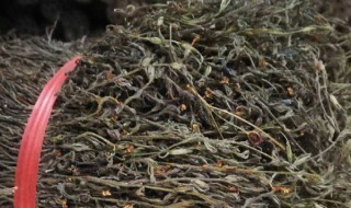 独脚金一亩产多少斤（种植独脚金多少钱一斤）