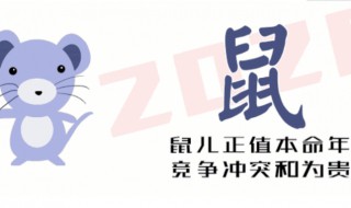 2020最吉的四大生肖 2020年最旺的四大生肖