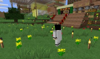 怎么玩我的世界 怎么玩我的世界神奇宝贝手机版下载