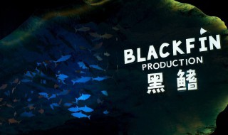 黑鳍的赃物怎么做（黑鱼鱼鳍怎么处理）