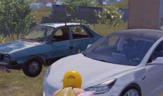 和平精英怎么变身特斯拉（和平精英怎么变身特斯拉模式）