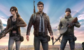 和平精英有没有王牌 和平精英有没有王牌0