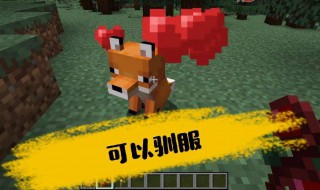 狐狸我的世界狐狸怎么驯服（我的世界,狐狸怎么驯服）