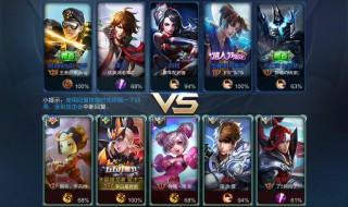 关于队友的王者名字（讽刺队友的王者名字）