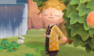 动物森友会的新玩法 动物森友会 玩法