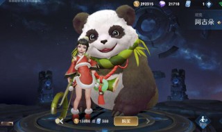 阿古朵到底是辅助还是打野(阿古朵到底是辅助还是打野啊)