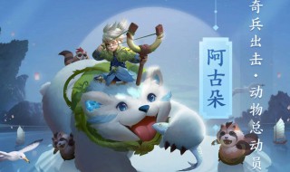 阿古朵打野教学（阿古朵不打野怎么玩）