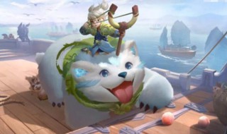 阿古朵到底是打野还是辅助（阿古朵打野好还是辅助好）